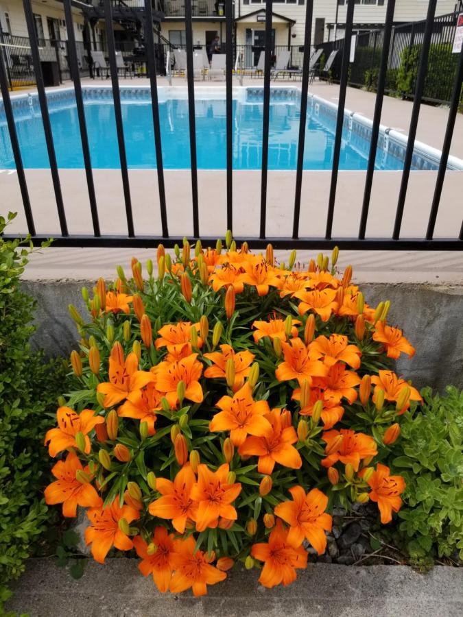 Osoyoos Lakeview Inn & Suites מראה חיצוני תמונה